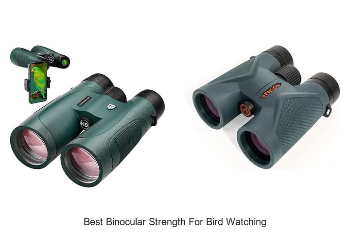 best binocular strength for bird watching