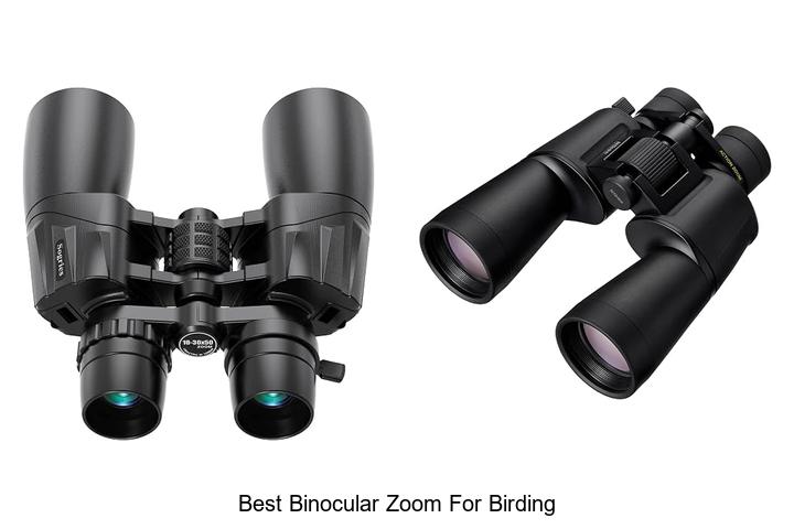best binocular zoom for birding