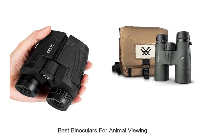 best binoculars for animal viewing