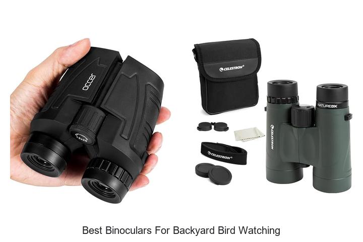 best binoculars for backyard bird watching