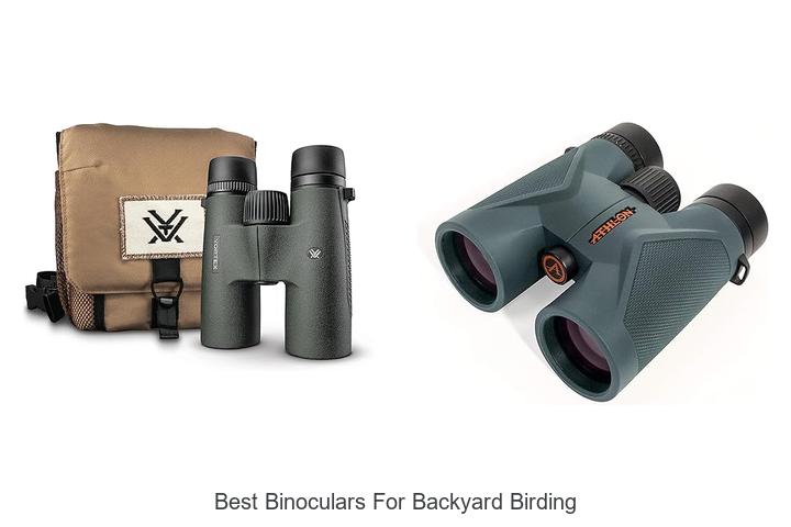 best binoculars for backyard birding
