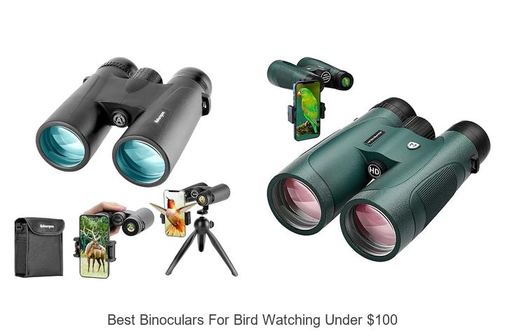 best binoculars for bird watching under 100