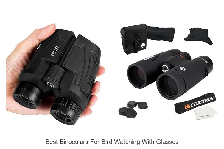 best binoculars for bird watching with glasses