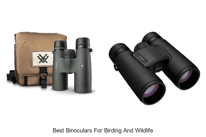best binoculars for birding and wildlife
