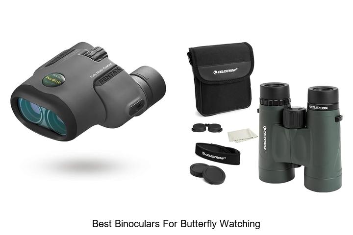 best binoculars for butterfly watching