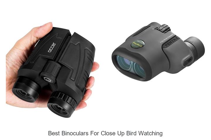best binoculars for close up bird watching