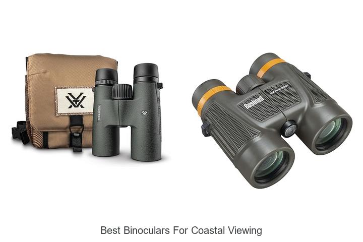 best binoculars for coastal viewing