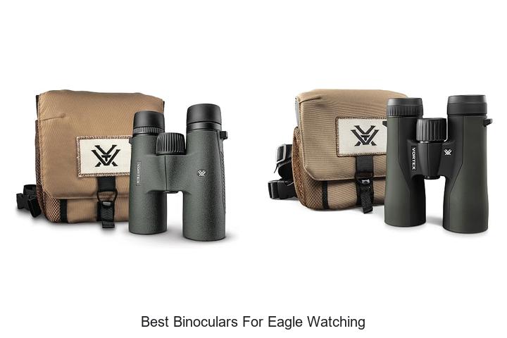 best binoculars for eagle watching