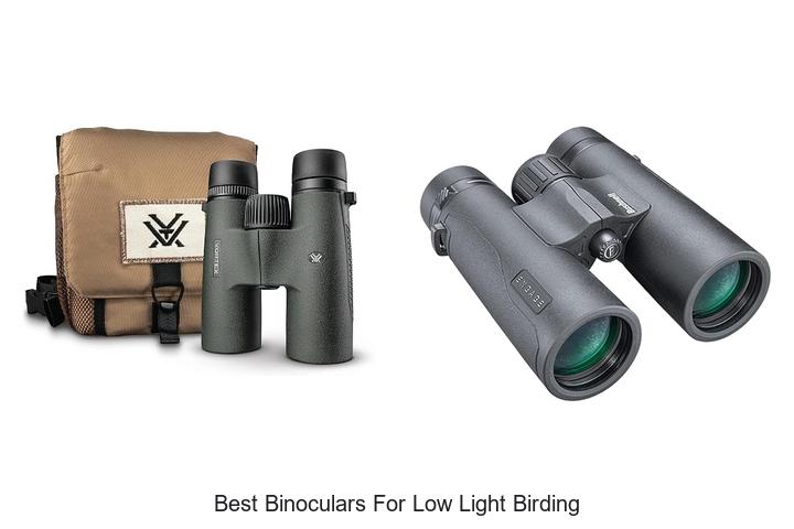 best binoculars for low light birding