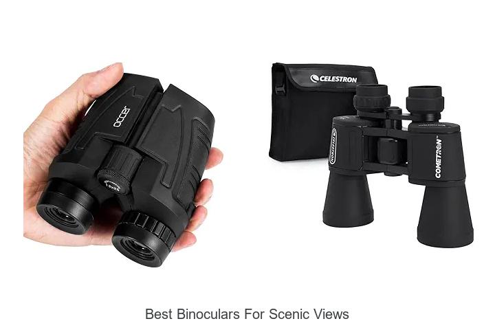 best binoculars for scenic views