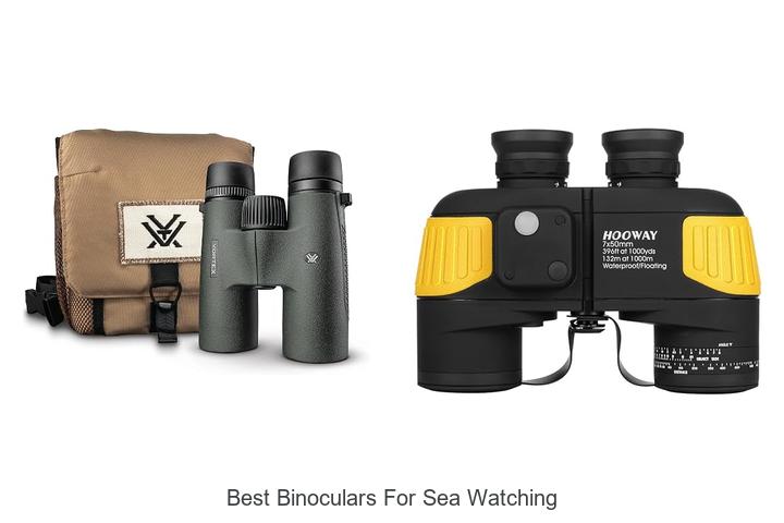 best binoculars for sea watching