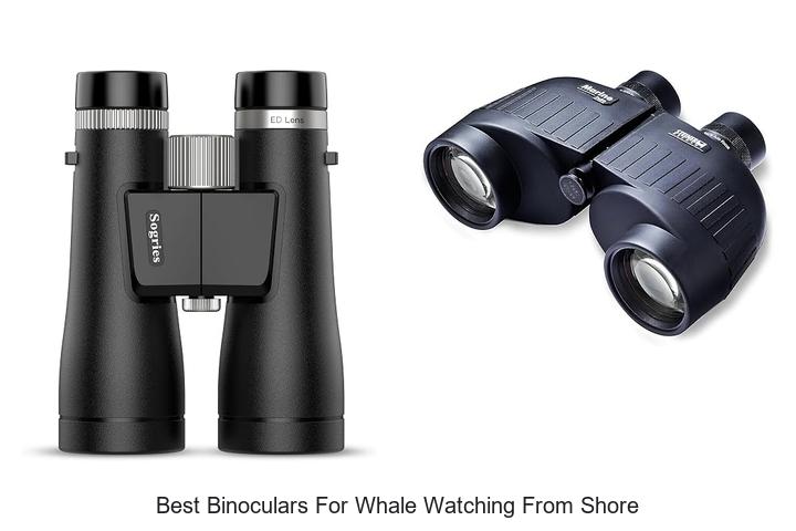 best binoculars for whale watching from shore