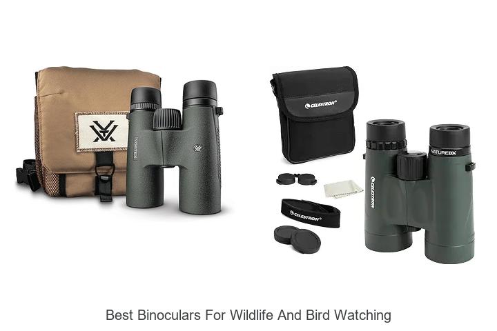 best binoculars for wildlife and bird watching