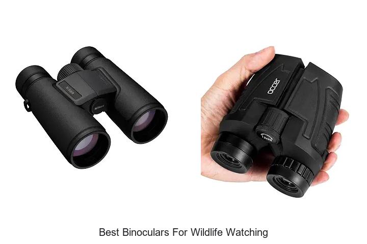 best binoculars for wildlife watching