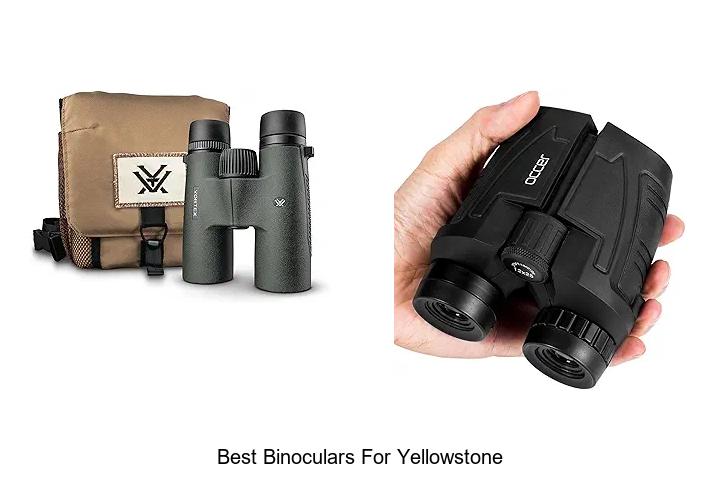 best binoculars for yellowstone