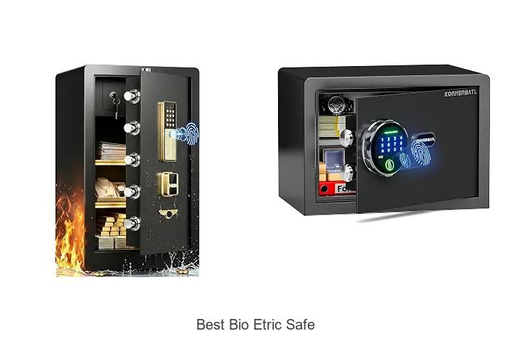 best bio etric safe