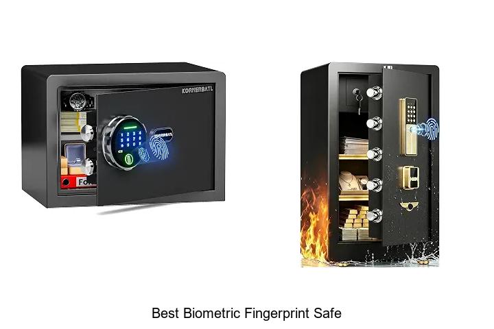 best biometric fingerprint safe