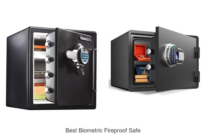 best biometric fireproof safe