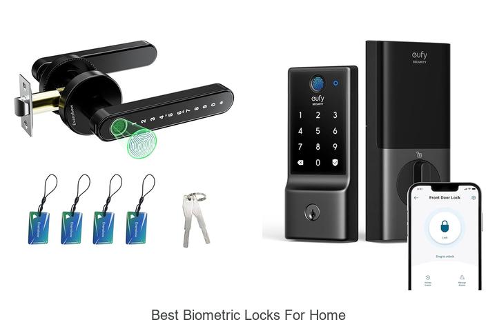 best biometric locks for home