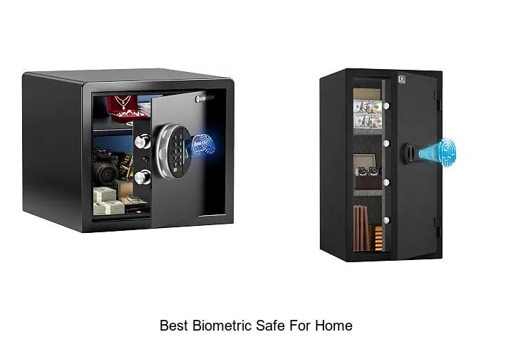 best biometric safe for home