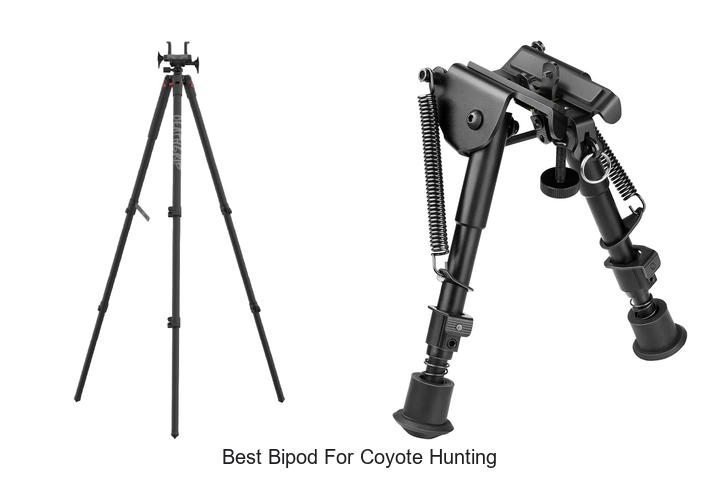 best bipod for coyote hunting