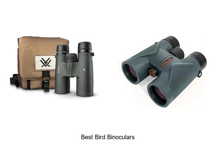 best bird binoculars