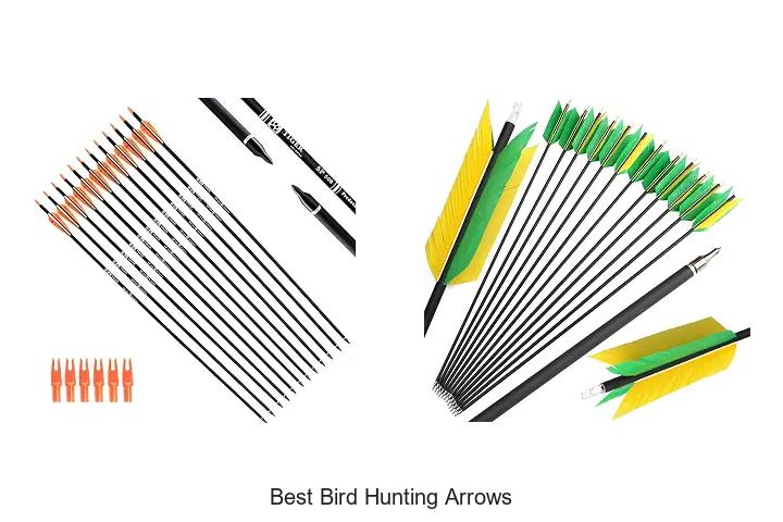 best bird hunting arrows