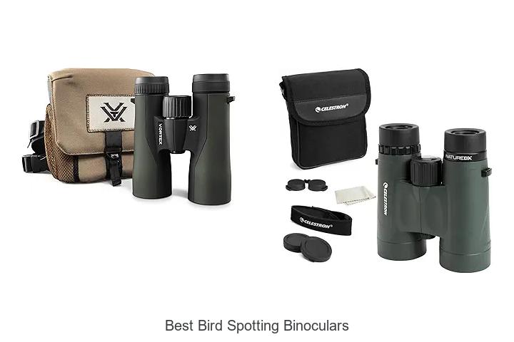 best bird spotting binoculars