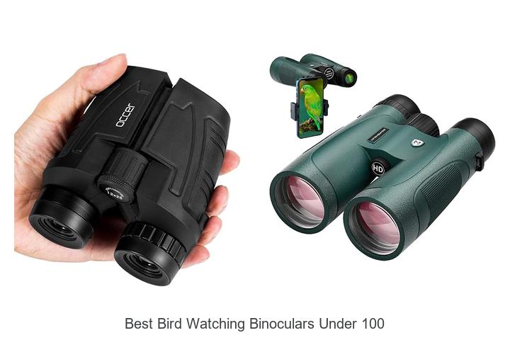 best bird watching binoculars under 100
