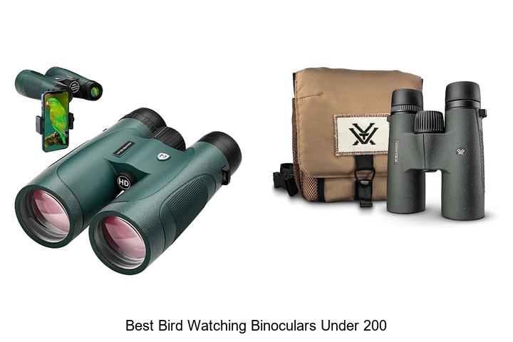 best bird watching binoculars under 200