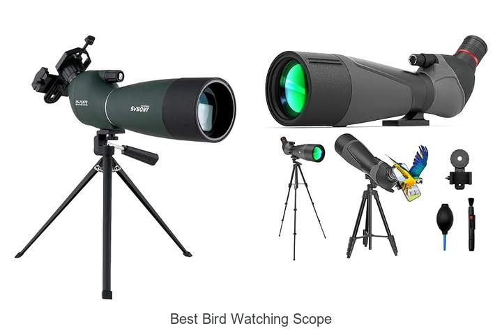best bird watching scope