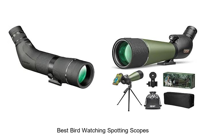 best bird watching spotting scopes
