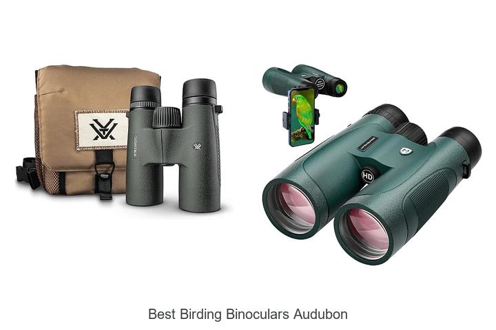 best birding binoculars audubon