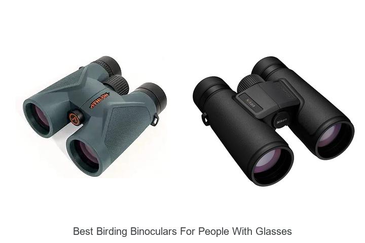 best birding binoculars for people with glasses