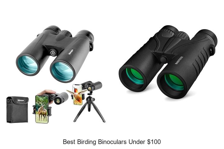 best birding binoculars under 100