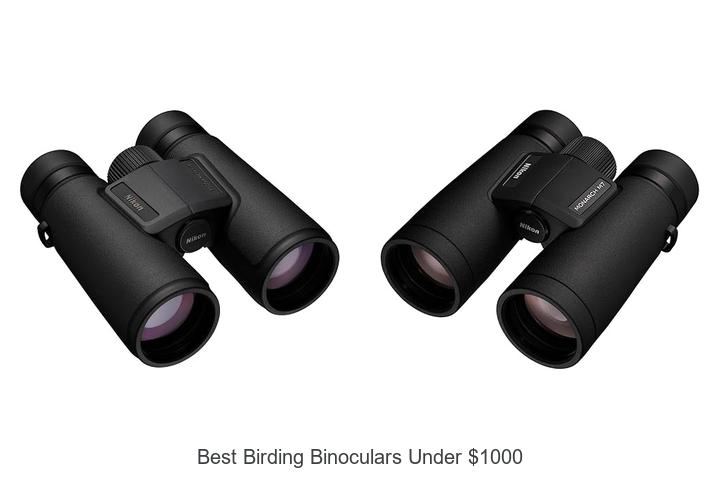 best birding binoculars under 1000