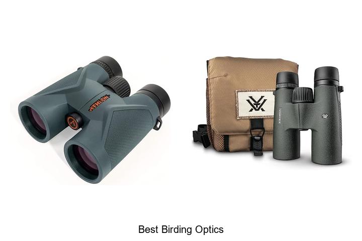 best birding optics