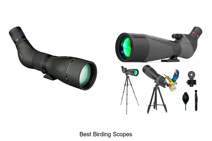 best birding scopes