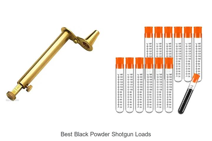 best black powder shotgun loads