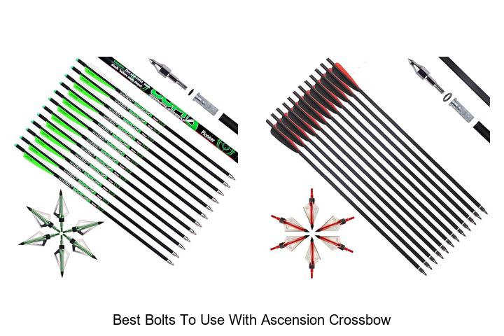 best bolts to use with ascension crossbow