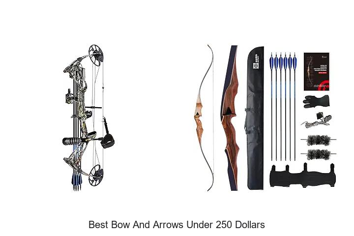 best bow and arrows under 250 dollars