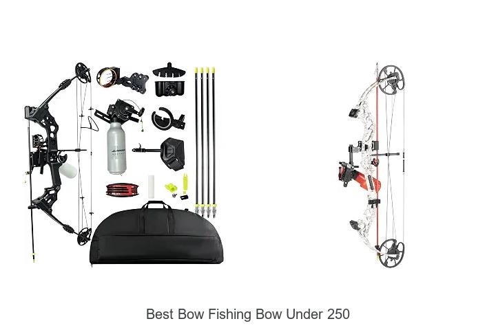 best bow fishing bow under 250