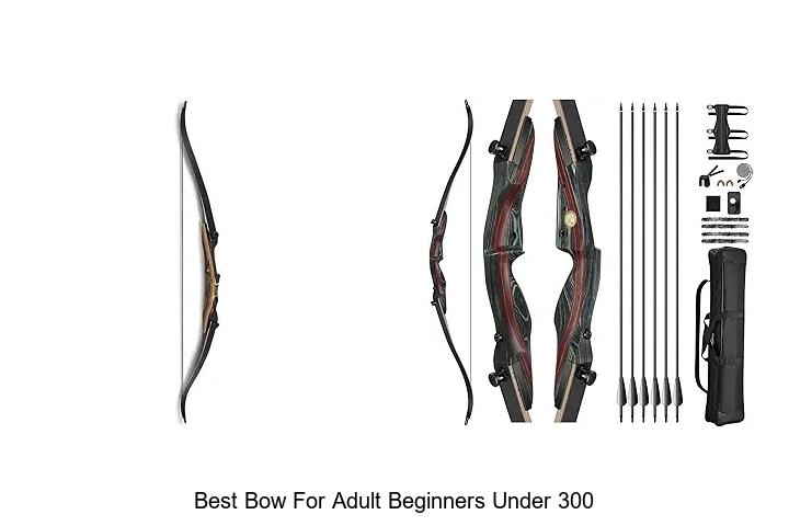 best bow for adult beginners under 300