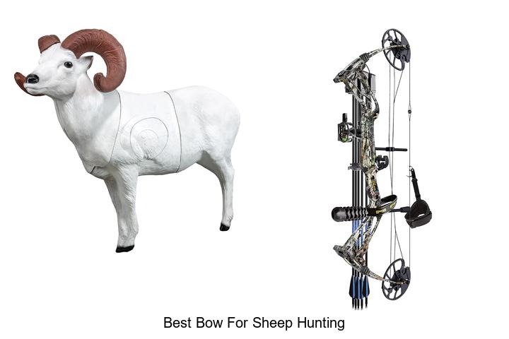 best bow for sheep hunting