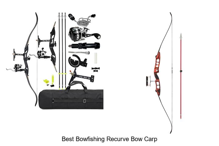 best bowfishing recurve bow carp