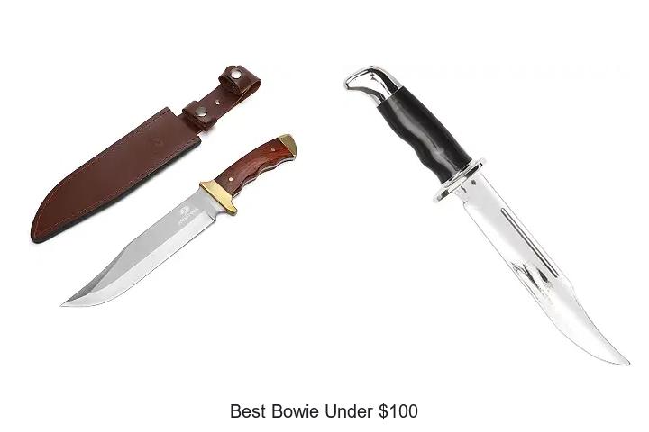 best bowie under $100