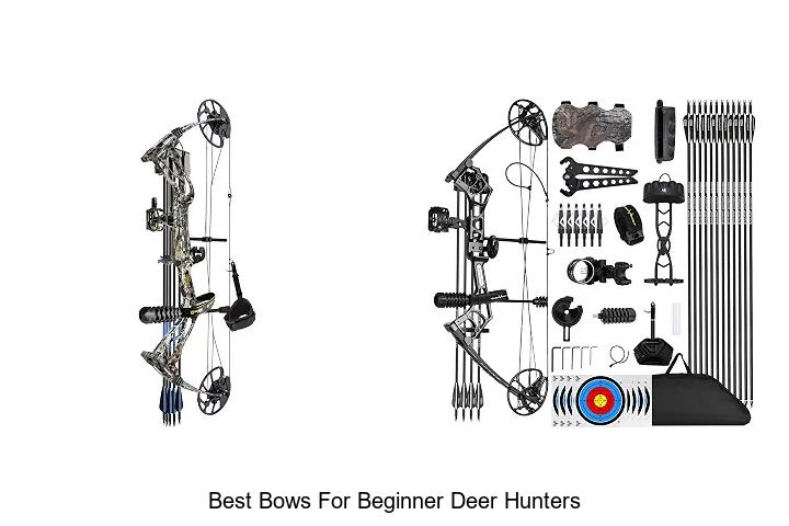 best bows for beginner deer hunters