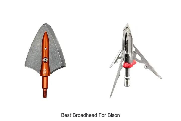 best broadhead for bison
