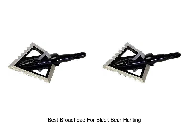 best broadhead for black bear hunting