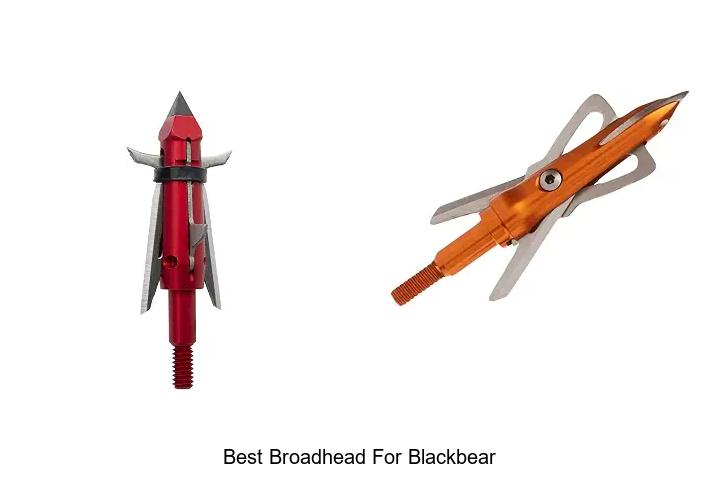 best broadhead for blackbear